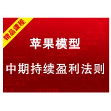 五域论湛弈樊 中期持续盈利法则--苹果模型 李菲全套培训视频课程