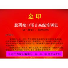 金印股票盘口语言高级培训班 炒股跟庄实战内部视频课程（共20集）