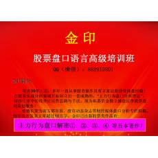 金印股票盘口语言高级培训班 炒股跟庄实战内部视频课程（共20集）