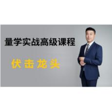 股海明灯李亚明金城 2019年伏击龙头实战特训班 股票内部视频课程 赠送解盘课+指标