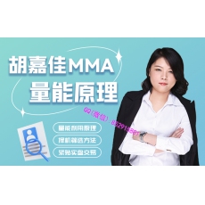 胡嘉佳 量能MMA选择品种构建交易逻辑 期货内部培训视频课程