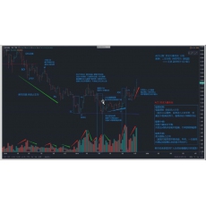 威科夫交易法 市场行为结构本质趋势跟随吸筹派发识别原则特训营 股票期货外汇内部培训视频课程