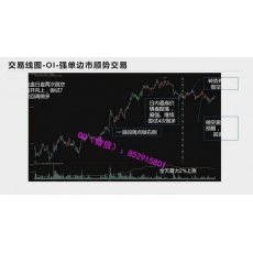 毛煜春 日内短线交易技术原则订单流信息止盈止损  期货内部培训视频课程