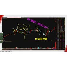 任春辉 主力盘口滤网启动逻辑跟庄交易技术 股票内部培训视频课程