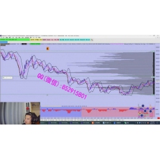 xiong 订单流多空数据图形化交易逻辑分子风云决系统 外汇内部培训视频课程