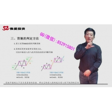 李晓军 分型笔线段走势生长模型结合律核心概念缠论全系列 股票内部培训视频课程