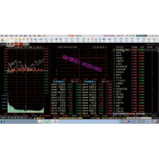 龙头大表姐 择时周期理论龙头战法选股 股票内部培训视频课程