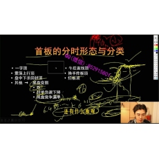 凯心 N字结构高胜率因子首板分时形态封单尾盘 股票实战培训视频课程