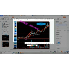 和渊 K线形态趋势顺势资金管理 黄金外汇内部培训视频课程（初级+中级+高级）